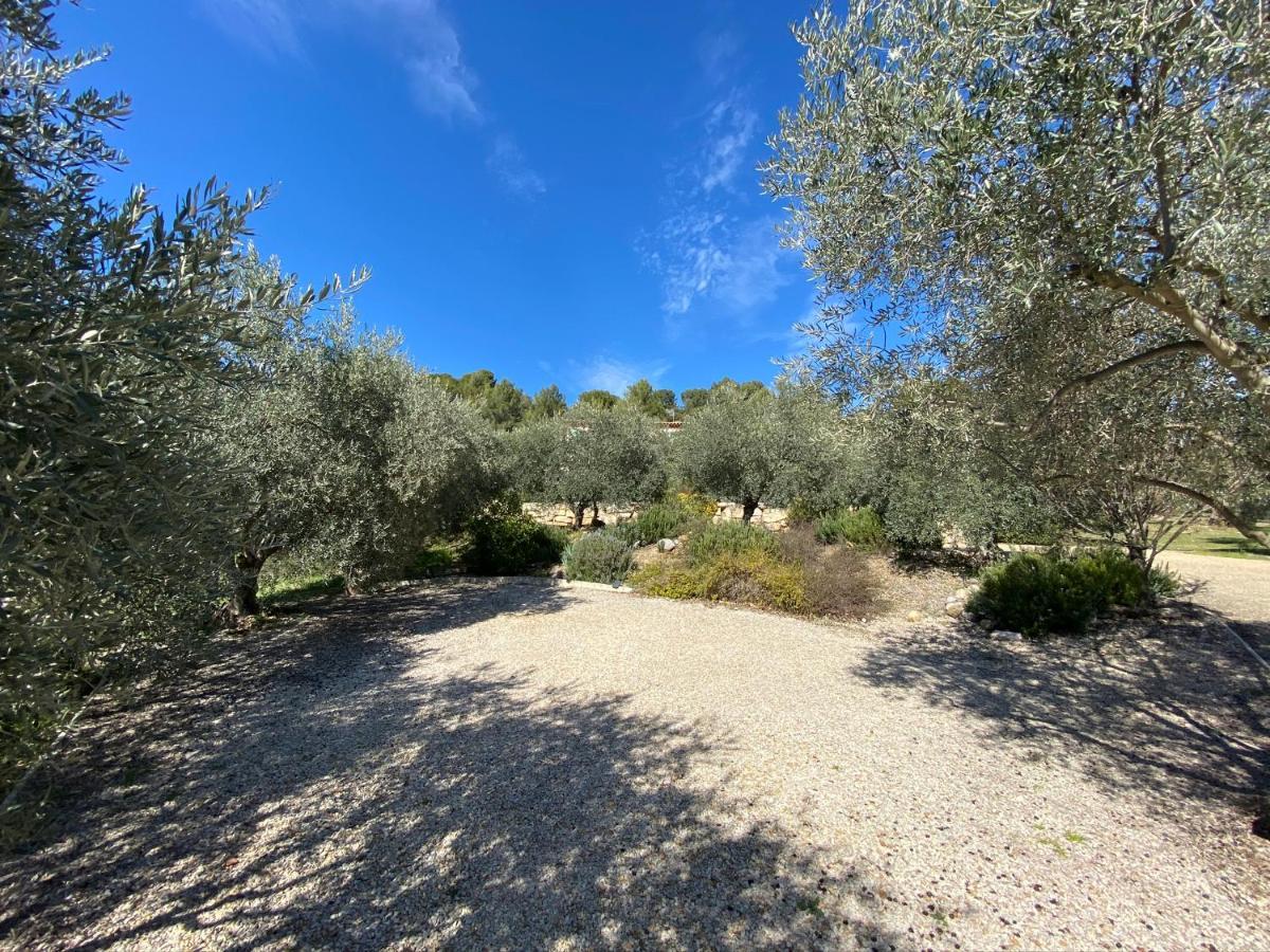 אורזון Gite La Maison Dans L'Olivette מראה חיצוני תמונה
